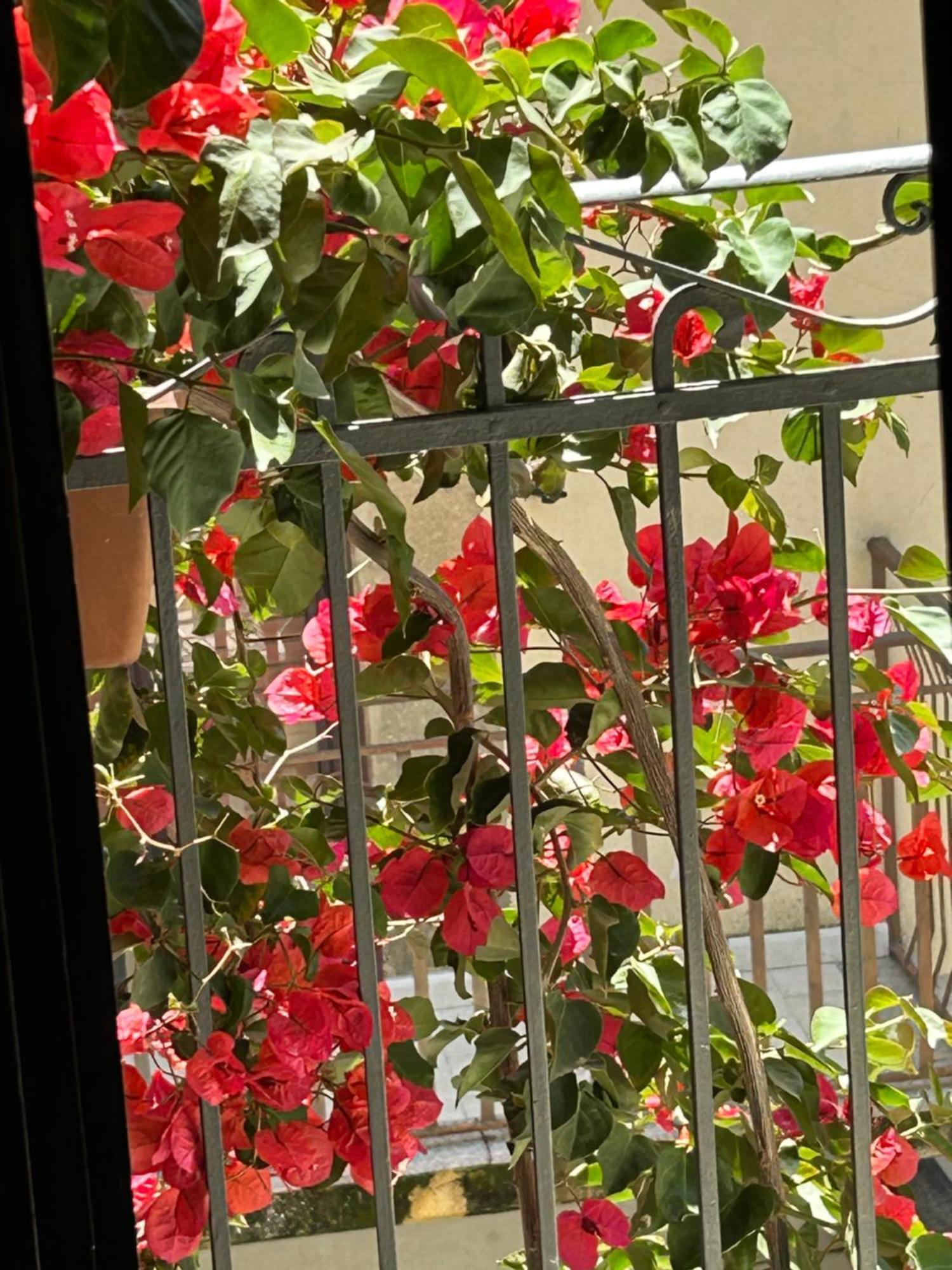 B&B L'Angolo Sulla Piazza Mirabella Imbaccari ภายนอก รูปภาพ