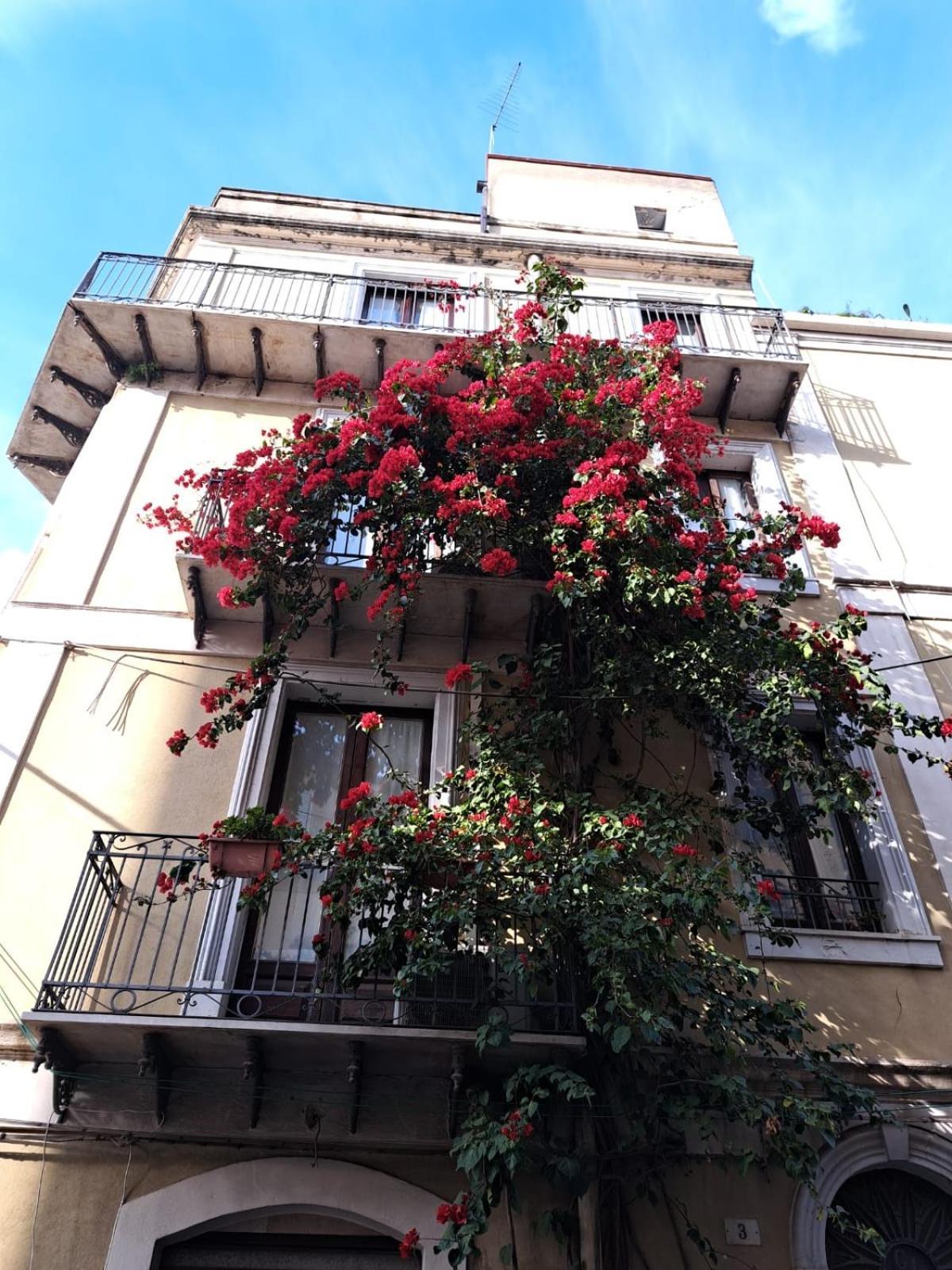 B&B L'Angolo Sulla Piazza Mirabella Imbaccari ภายนอก รูปภาพ